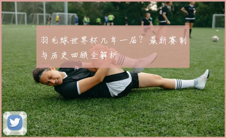 羽毛球世界杯几年一届？最新赛制与历史回顾全解析