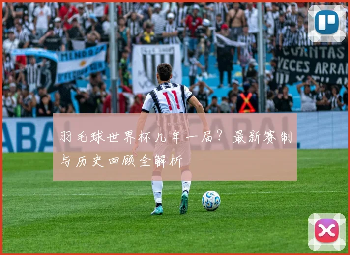 羽毛球世界杯几年一届？最新赛制与历史回顾全解析