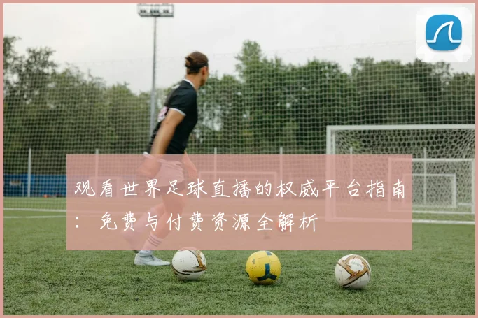 观看世界足球直播的权威平台指南：免费与付费资源全解析
